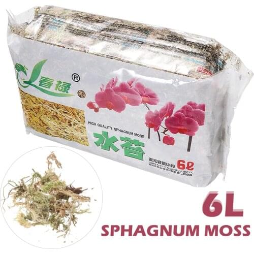 6L Sphagnum Moss Garden Supplies Sphagnum Moisturizing Nutrition Organic Fertilizer