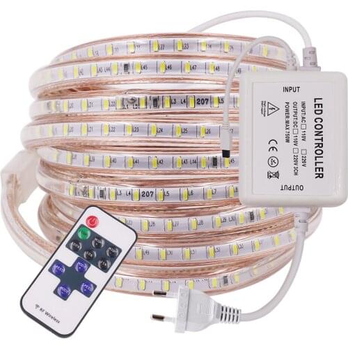 AC 220V LED Strip Light With Remote Control SMD3014 Super Bright 120Leds/m Waterproof Led Light Lamp Outdoor Flexible Led Tape
