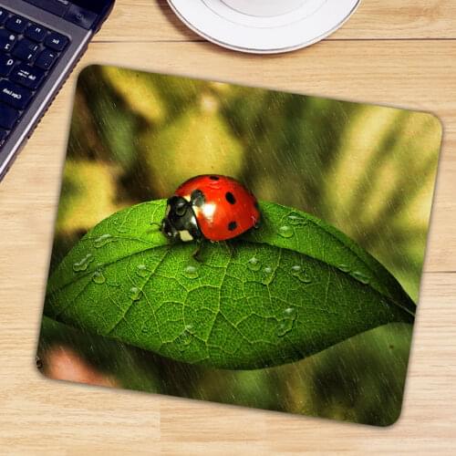 Ladybird Ladybug Gaming Rectangle Mouse Pad Desk Keyboard Mause Mice Mat Anti-slip Natural Rubber PC Computer Gamer Mousepad
