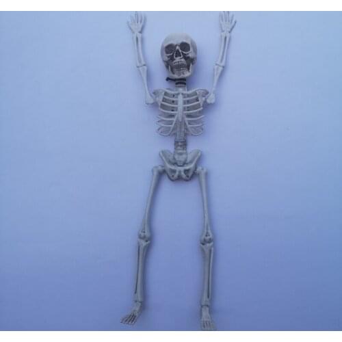 Halloween Skeleton 40cm Halloween Horror Skeleton Decoration Party Prop Shoulder Joints Can Move