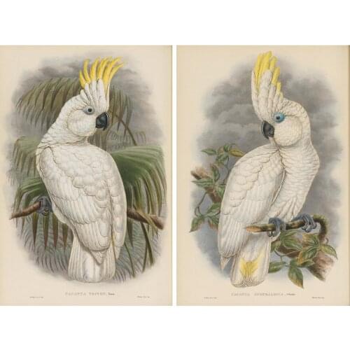 Pastoral animal white parrot tree scenery set oil painting canvas prints printed on canvas home wall art decoration picture