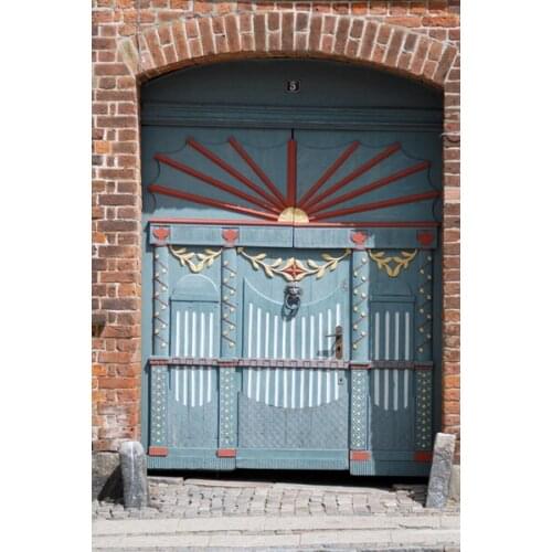 125*200cm Wholesale Photography Backdrops Hot Sale Studio Photo Studio Backgrounds Exterior Door For Wedding Portrait D-4936