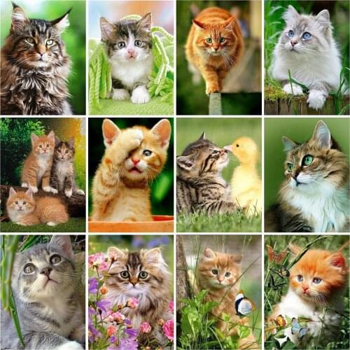 Evershine Full Square Diamond Painting Cat Cross Stitch Kit Animal Diamond Embroidery Sale Rhinestone Pictures Home Decoration