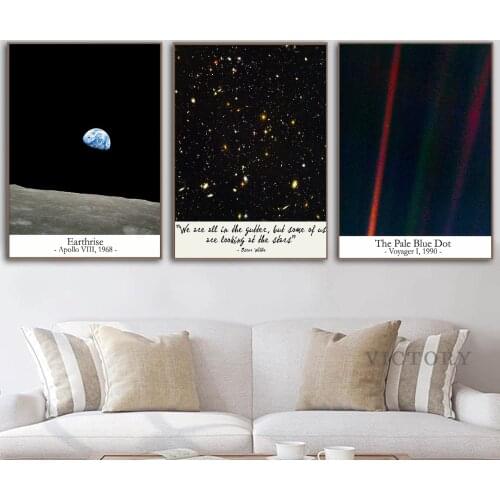 Looking At The Stars Quote Poster Astronomy The Pale Blue Dot Canvas Painting Space Apollo 1968 Print Living Room Wall Art Decor