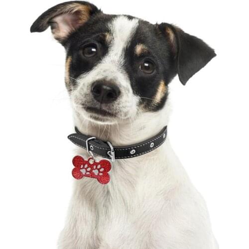 50%HOTPet Dog Cat Puppy Carving ID Name Bone Shape Collar Tag Plate Pendant Decoration Pendant Keychain Bone Pet Accessories