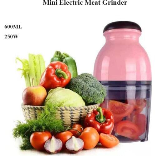 250W Mini Electric Meat Grinder Food Processor Vegetable Fruit Food Processor 600ML Blender Chopper
