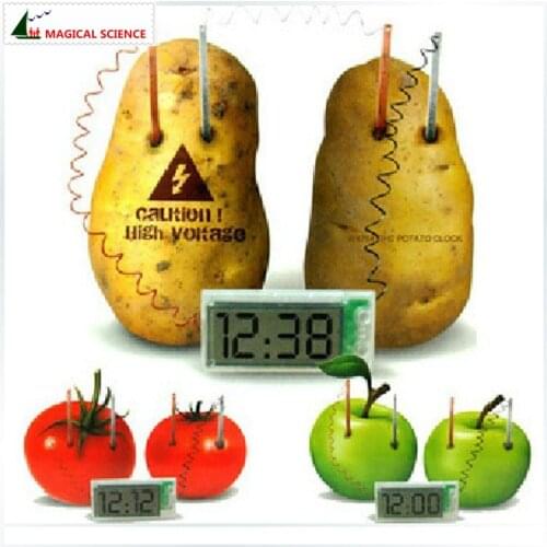 Wholesale Potato Clock Electrochemical Cell Experiment material ,funny novelty home school green science educational kit