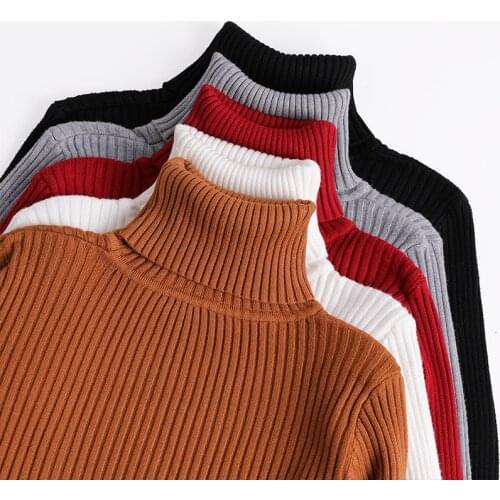 AECU Women Turtleneck Sweater Women Knitted Pullovers Long Sleeve Jumper Pull Femme Clothing High Elasticity Soft Female Sweater