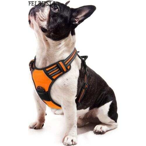 Dog Harness, No-Pull Pet Harness with 2 Leash Clips, Adjustable Soft Padded Dog Vest, Reflective No-Choke Pet Oxford Vest