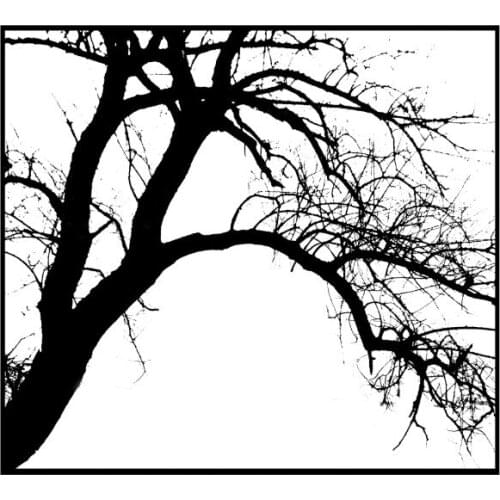 10x8 Vertical and horizontal branches Transparent Clear Stamps Silicone Seals for DIY scrapbooking photo album Card Making