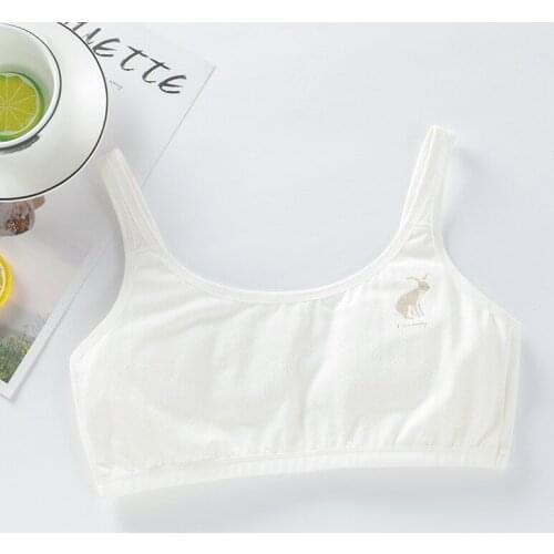 Teenage Young Girls Bra Cotton Underclothes Bra for Girl Underwear Wireless Small Training Bra for Teens Girl Underwear Clothing