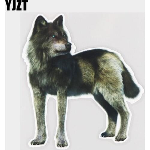 YJZT 17×19.1CM Nature Animal Gray Wolf Door Bumper Decoration Stickers Personality Car Accessories 21A-0100