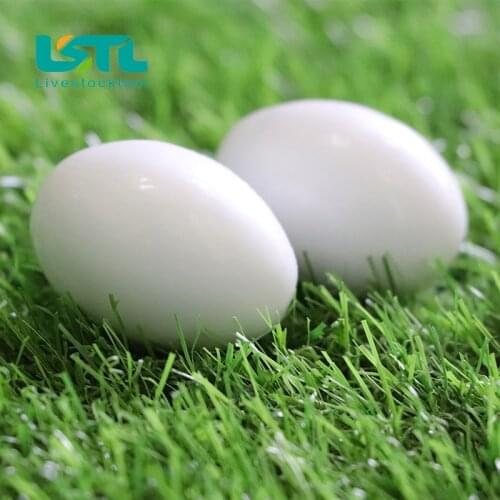 20 pcs Pigeon Fake Eggs for Hatch Chicken Duck Small Geese Incubation Breeding Solid Free Shippingd35