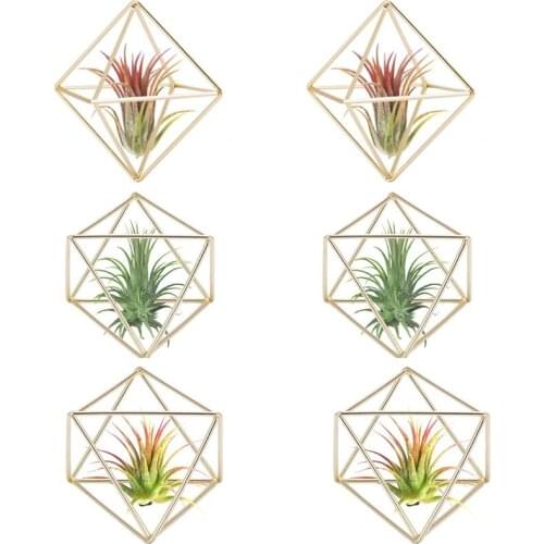 6 Pcs Air Plant Holder Mini Metal Tabletop Decor Modern Geometric Planter Tillandsia Display Stand Himmeli Decor