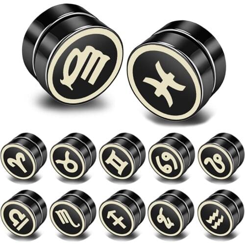 1piece Stainless Steel Jewelry Strong Magnet Magnetic Health Care Ear Stud Non Piercing Earrings 12 Constellation Punk Mens Gift