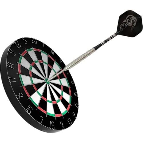 2021 New 90% Professional Tungsten Steel Tip Darts 24.5g Precise Barrel with Dart Case