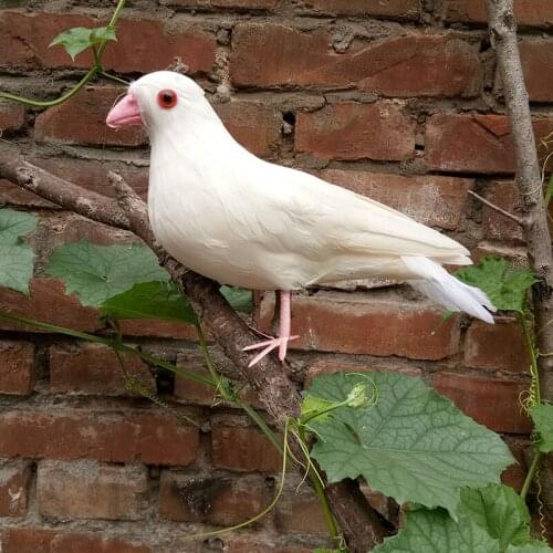 Real life Bird white feathers peace bird about 30cm white dove ,home garden decoration filming prop gift h1374