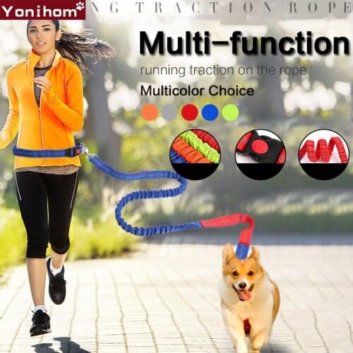 Dog Collar Nylon Hands Free Running Leash Nylon Rope Training Leash for Dogs Jogging Collar Perro Puppy Dog Collar and Leash Set