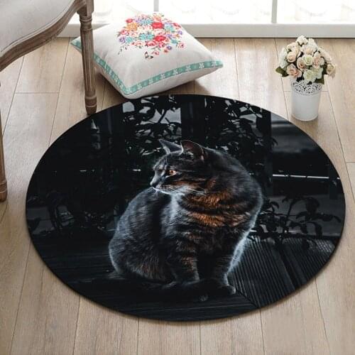 Round Childrens Room Floor Area Rugs Living Room Carpets Bathroom Non-Slip Cushion Home Door Mat Black Cat On Boards In Night