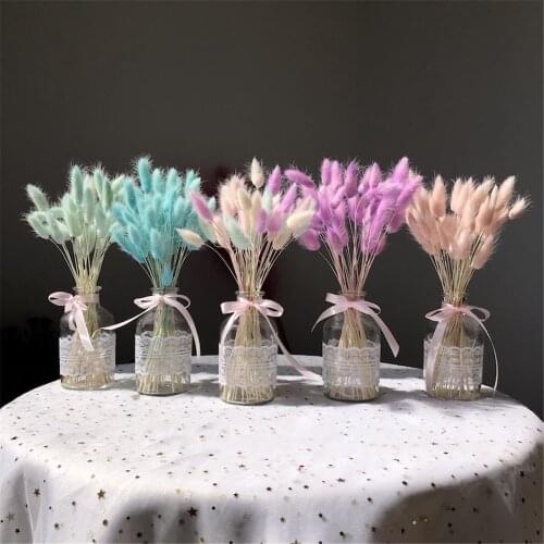 Natural Raw White Pink Color Dried Flowers Real Flower Bouquet 50pcs for Home Wedding Decoration Rabbit Tail Grass Bunchs