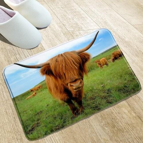 Highland Cattle Bath Mat Large Grassland Snowfield Front Hall Welcome Rugs Kitchen Carpet Home Decoration Products Anti-Slip