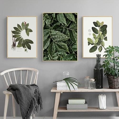 Green Leaves Plants Decoration Home Wall Art Canvas Painting Posters and Prints Decorative Pictures for Living Room Wall Decor