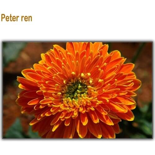 Peter ren Diy Diamond embroidery Cross stitch kit Diamond painting 3D square Diamond Mosaic Full cover Red Cosmos chrysanthemum