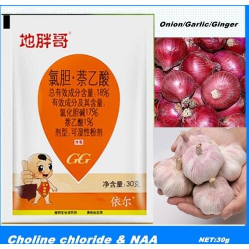 30g Choline chloride + naphthalene acetic acid Plant Rhizome Enlargement Agent Growth Regulator Effectively Increase Yield
