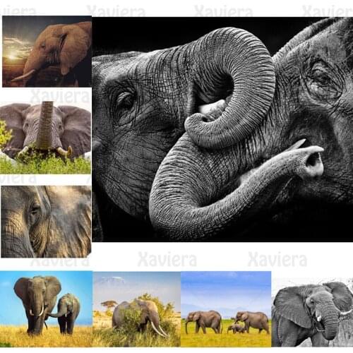 5D DIY Diamond Embroidery Animal Elephant Diamond Painting Mosaic Rhinestone Cross Stitch Accessories Home Decoration Artwork