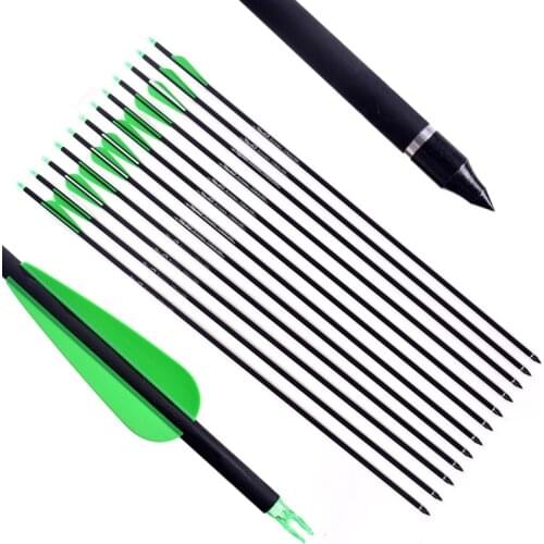 Hunting 6/12/24pcs Archery Spine500 Carbon Arrow With Replaceable Arrowhead 30" for Compound/Recurve Bow Archery
