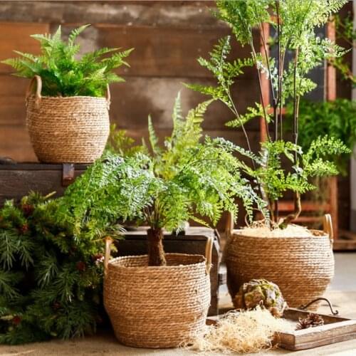 Cestos decoration Planter Pot Woven Flower Fruit Basket with Handles Wedding Easter Straw Seagrass Plant Basket Baskets