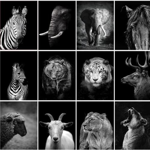 RUOPOTY DIY paint by numbers Animal For Adults children Frameless Black and white Oil Painting By Numbers On Canvas DIY Home De