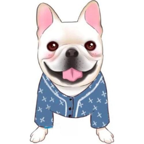 Chihuahua Denim Shirt Pet Dog Clothes for Small Dogs Clothing French Bulldog Jacket For Yorkies Costume Pug Apparel PC0631