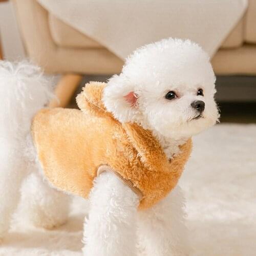 Dog Costume Autumn and Winter Bear Ears Hooded Dog Two-legged Fleece Small and Medium-sized Dog Cat Cartoon Cute Pet Clothes