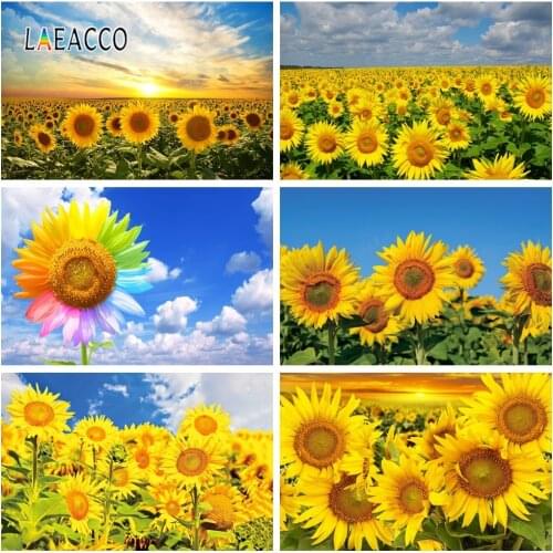 Laeacco Blue Sky White Clouds Sunflowers Photography Backdrops Baby Birthday Photo Backgrounds Newborn Portrait Photophone Props