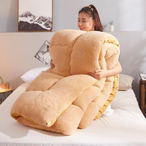2021 thermal Lamb double-faced velvet quilt wool thicken super warm winter comforter spring autumn blanket 6kg double comforter