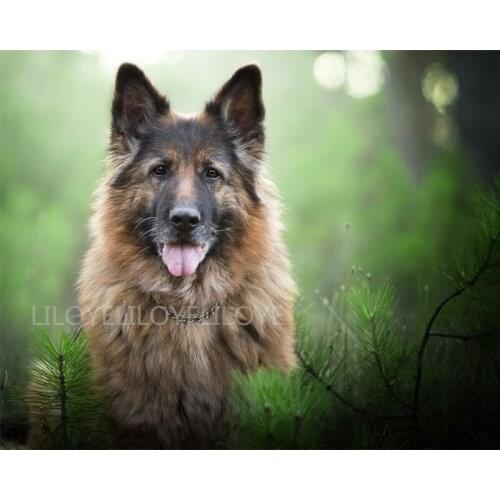 5D Diy Diamond Painting Cross Stitch German Shepherd full square Diamond Embroidery Picture Mosaic puzzles New year gift TY39