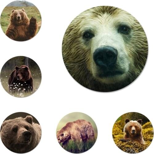 58mm Grizzly Bear Icons Pins Badge Decoration Brooches Metal Badges For Clothes Backpack Decoration