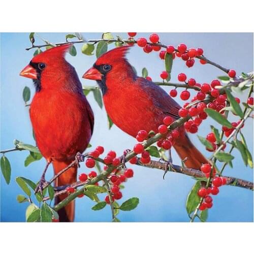 DIY Diamond Painting Full Round Drill Kits for Adults Cardinal Birds Rhinestone Diamond Art Craft for Home Wall Decor