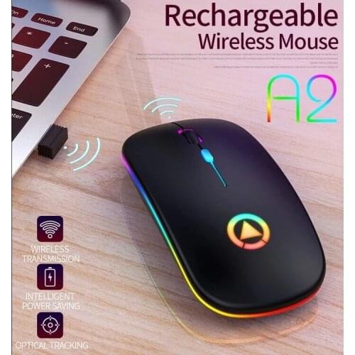 Mussels Computer Mice