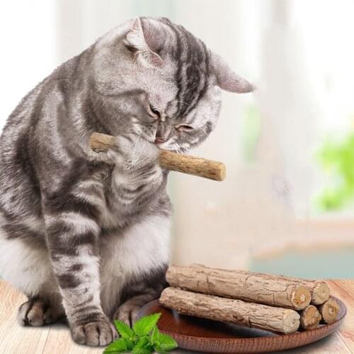 Catnip Stick Clean Brush Teeth Molar Pure Natural 2PCS Pet Toy Silvervine Cat Teeth Cleaning