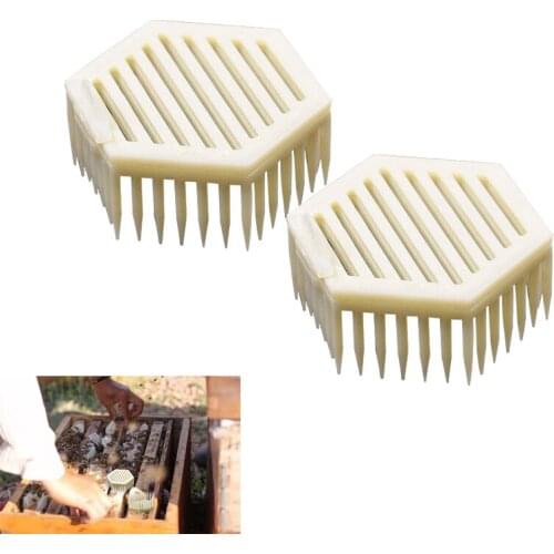 2PCS Beekeeping Bees Queen Cages Needle Type King Cage Cells Plastic House Room Rearing Cell Rectangle Bees Tool Supplies