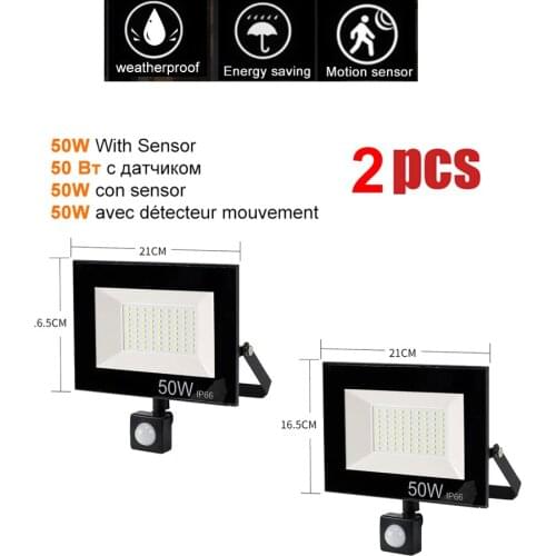 2 pcs 220V 10-100W LED FloodLight Spotlight Exterior Street wall reflector LED Rechargeable Garden light PIR Motion Sensor Lawn