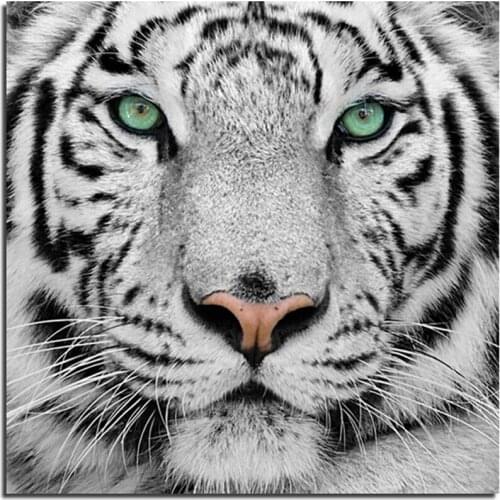 Tiger 50x50cm Needlework 3D DIY Diamond Painting Cross Stitch Sewing Knitting Needles 3D DIY Diamond Embroidery