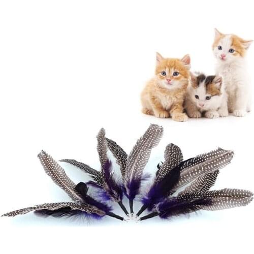 5 Pcs/Lot Pet Feather Toy Replacement for Cats Tease Kittens Wand Heads Replacements