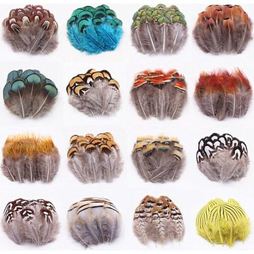 50pcs/lot Natural Pheasant Turkey Feather Diy Clothing Hat Jewelry Decorative Craft Feathers 22 Item Christmas Decoration Plumes