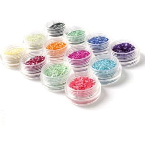 12 Colors Nail Art Tips Decoration Curshed Shells Powder UV Acrylic Salon Craft