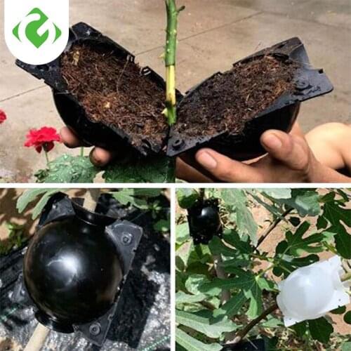 5pcs Plant Rooting Ball Grafting Rooting Growing Box Breeding Case Plant Root Growing Box For Garden 5/8cm In Diameter GUANYAO