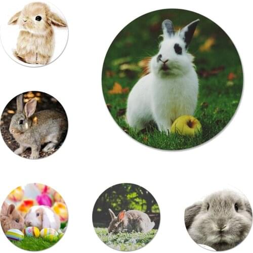 Cute Rabbits Badge Brooch Pin Accessories For Clothes Backpack Decoration gift