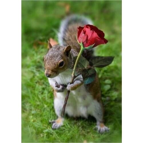 Round full diamond 5d landscape diamond painting squirrel rose DIY diamond embroidery kit home decoration ornaments